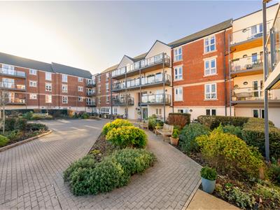 Picture 8